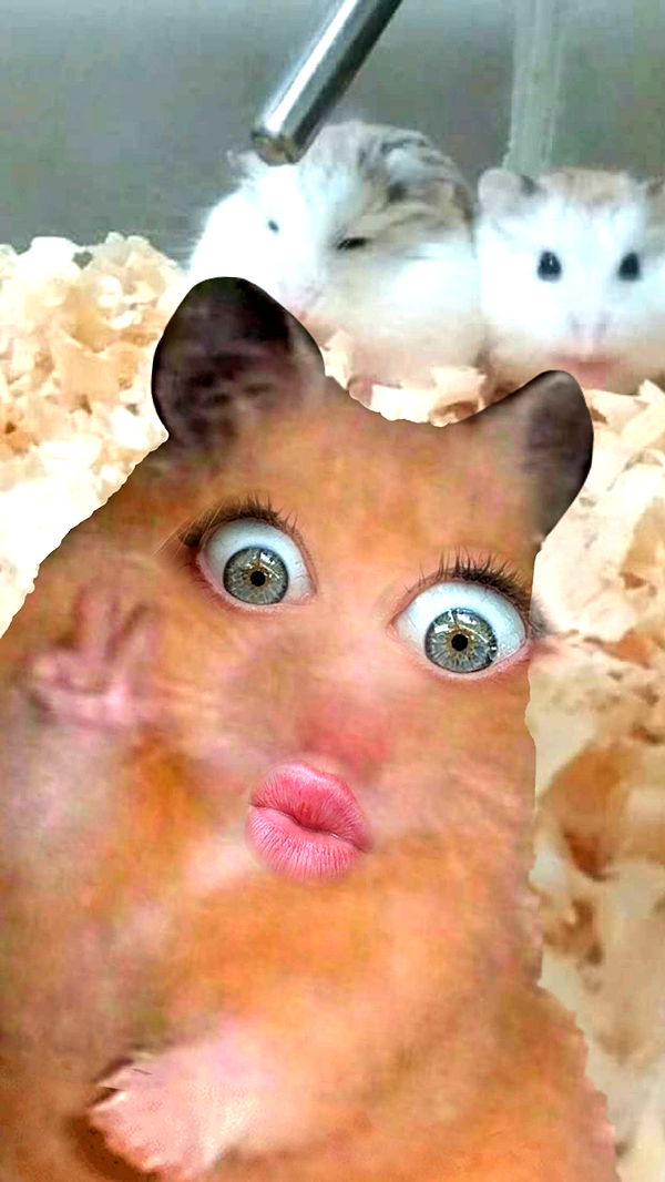 mbuccola97 image ~ Altpins