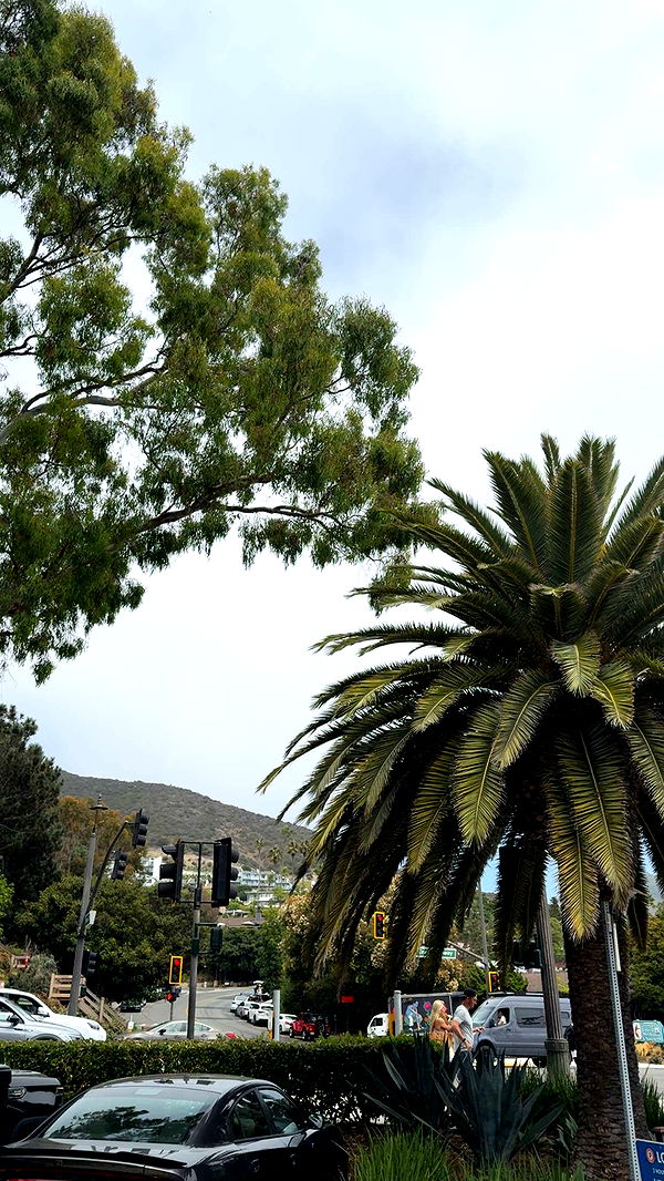 mbuccola97 image ~ Altpins