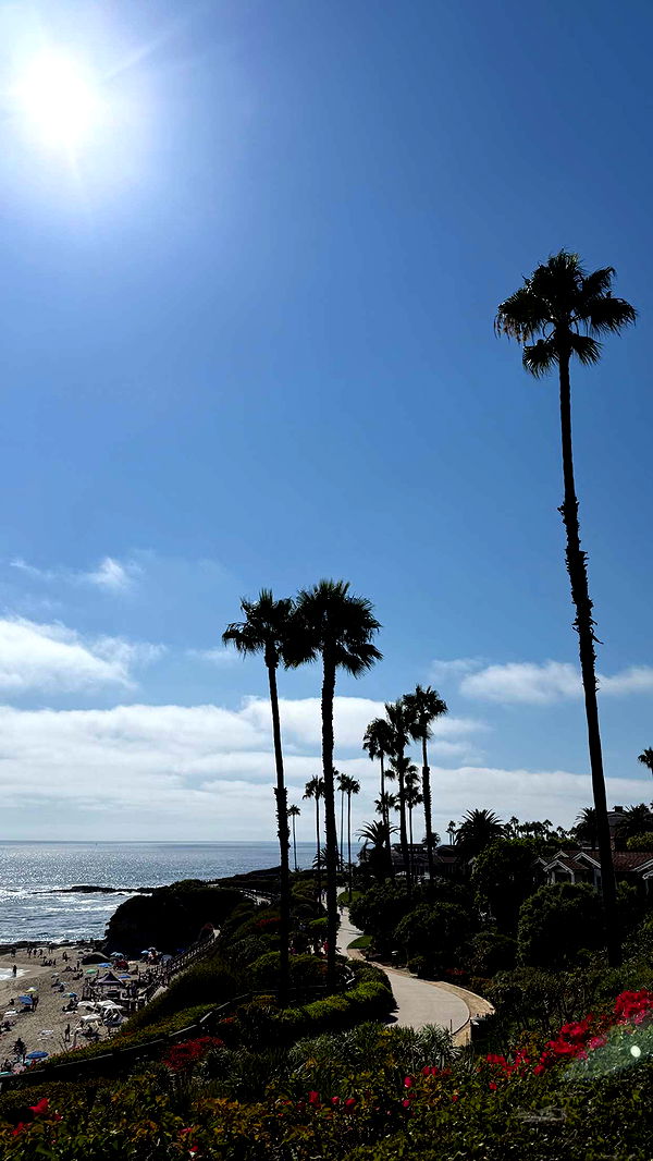 mbuccola97 image ~ Altpins