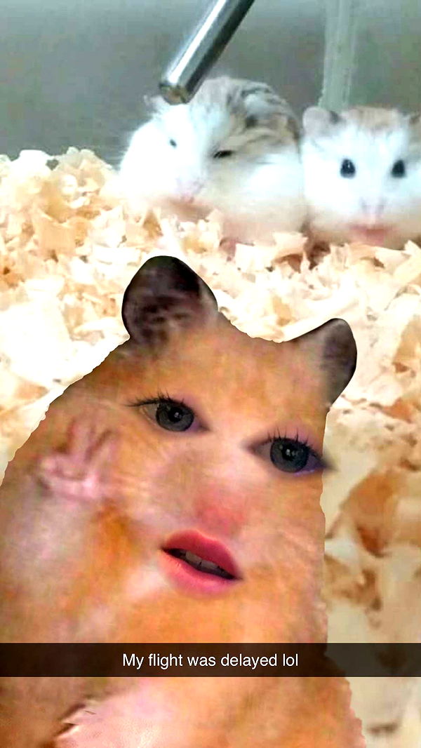 mbuccola97 image ~ Altpins