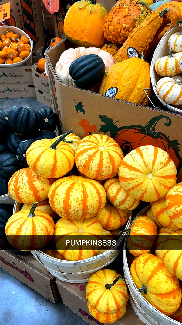 mbuccola97 snapchat image archive image