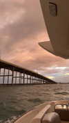 mbuccola97 Altpins Profile Picture