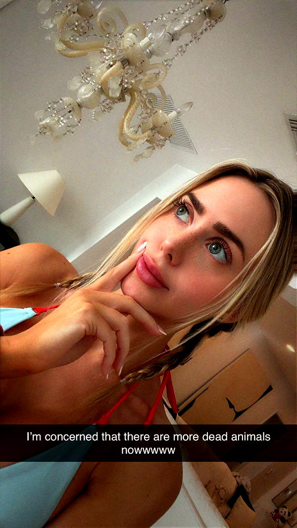 mbuccola97 snapchat image archive image