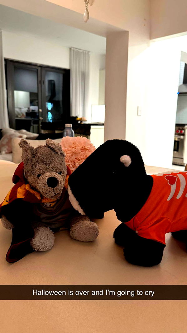 mbuccola97 image ~ Altpins