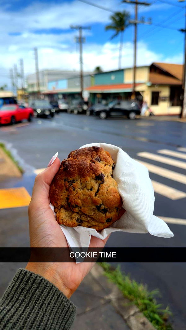 mbuccola97 image ~ Altpins