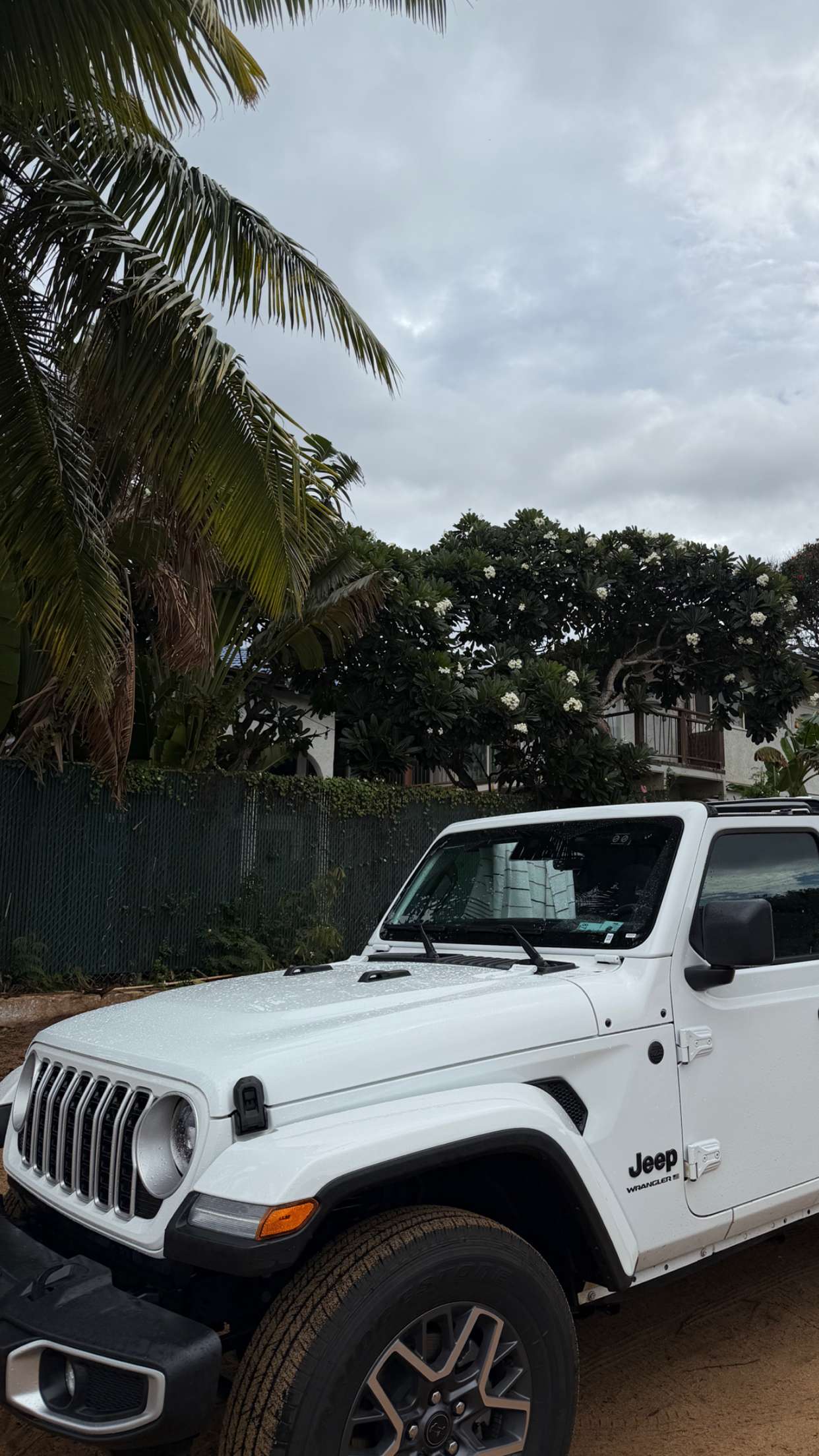 mbuccola97 snapchat image archive image