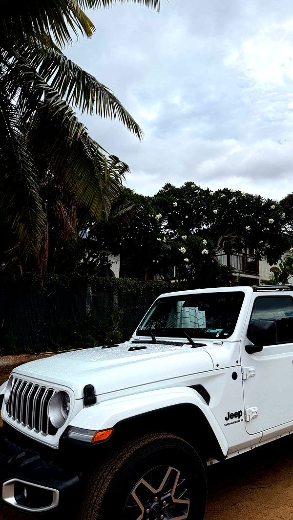 mbuccola97 image ~ Altpins