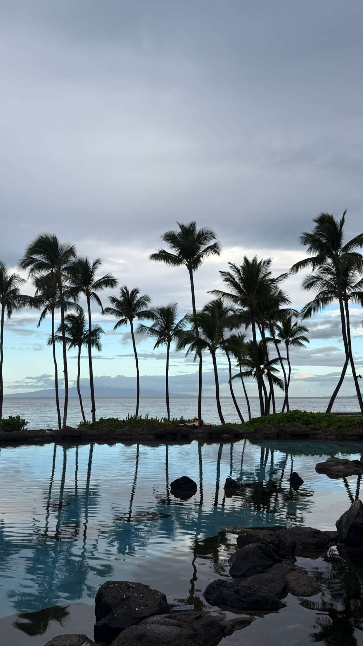 mbuccola97 snapchat image archive image