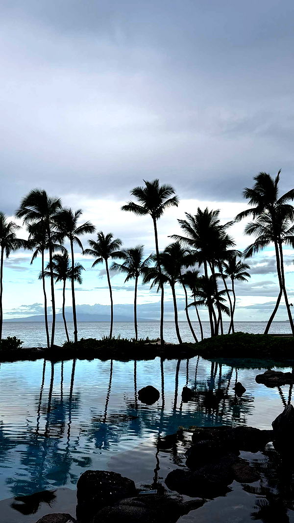 mbuccola97 image ~ Altpins