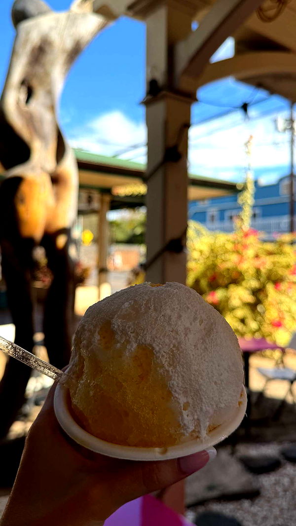 mbuccola97 image ~ Altpins