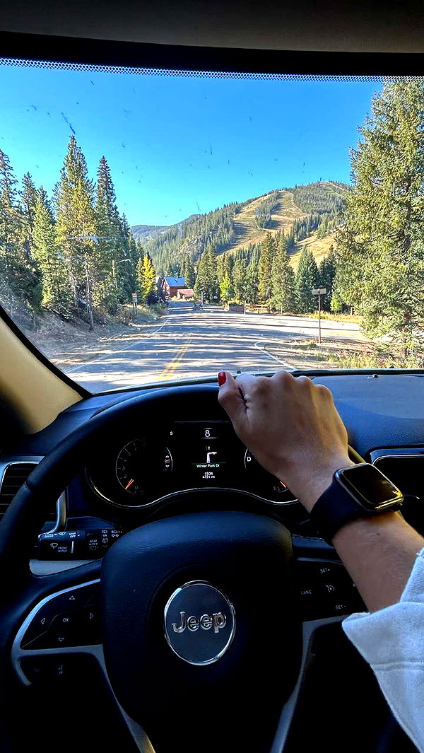 mckinley_1 image ~ Altpins