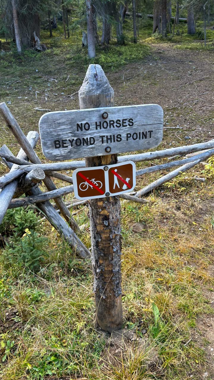 mckinley_1 snapchat image archive image