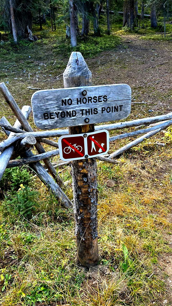 mckinley_1 image ~ Altpins