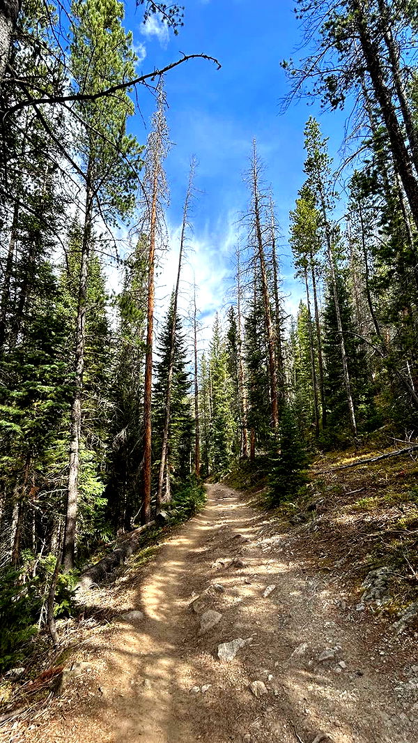 mckinley_1 image ~ Altpins