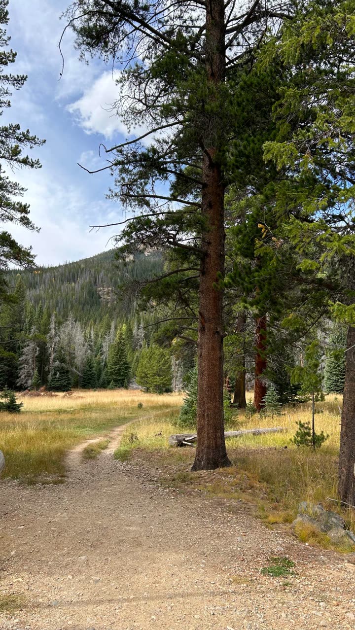 mckinley_1 snapchat image archive image