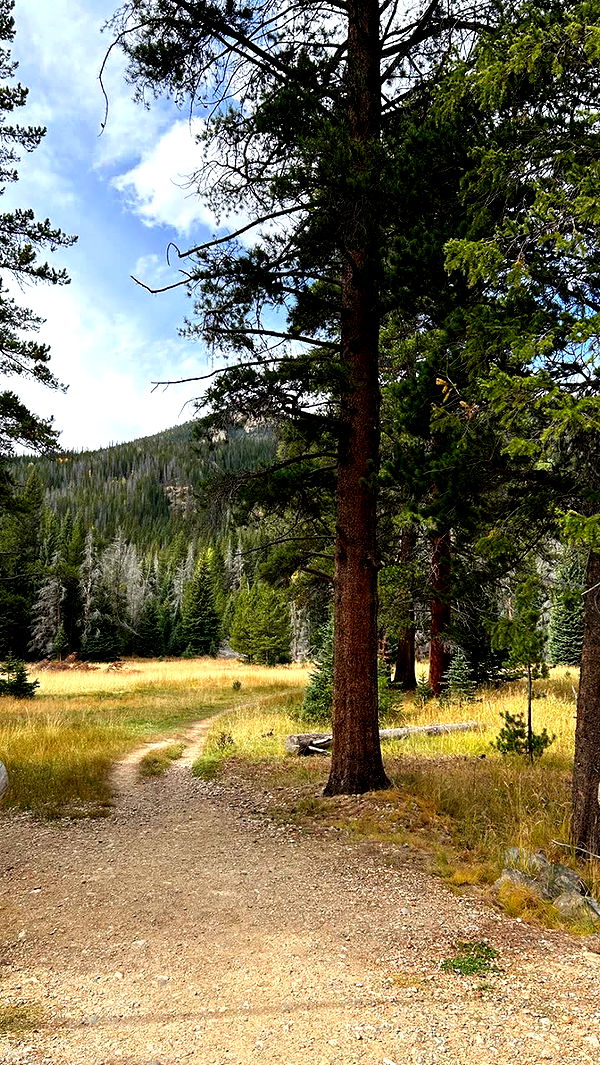 mckinley_1 image ~ Altpins