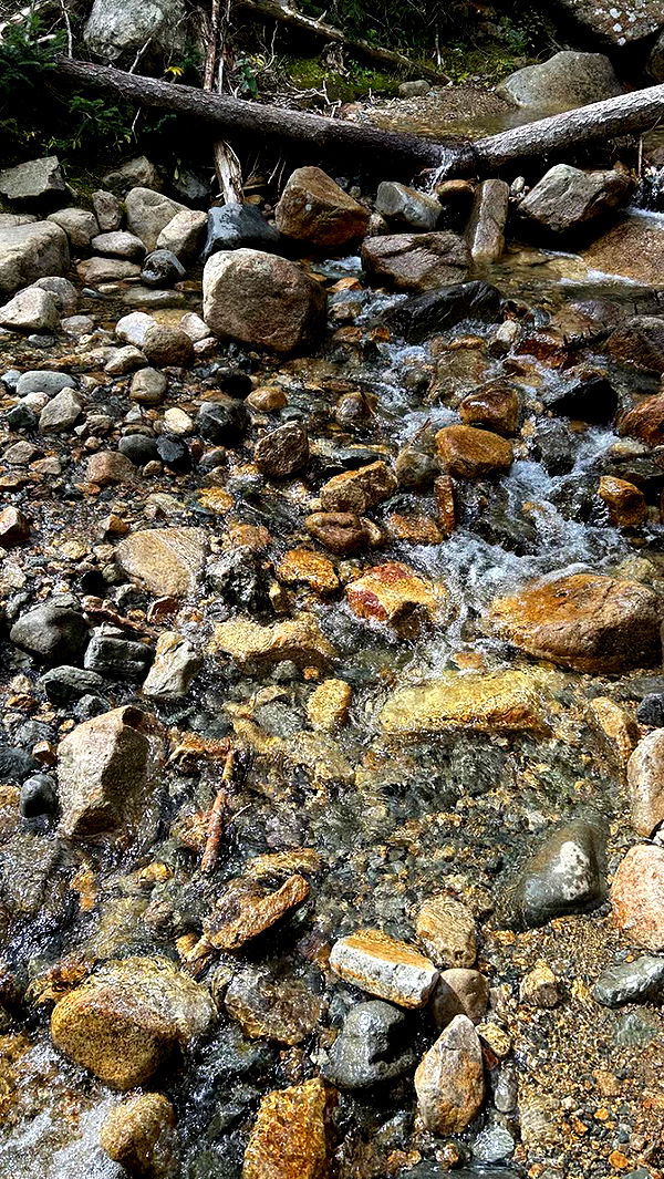 mckinley_1 image ~ Altpins