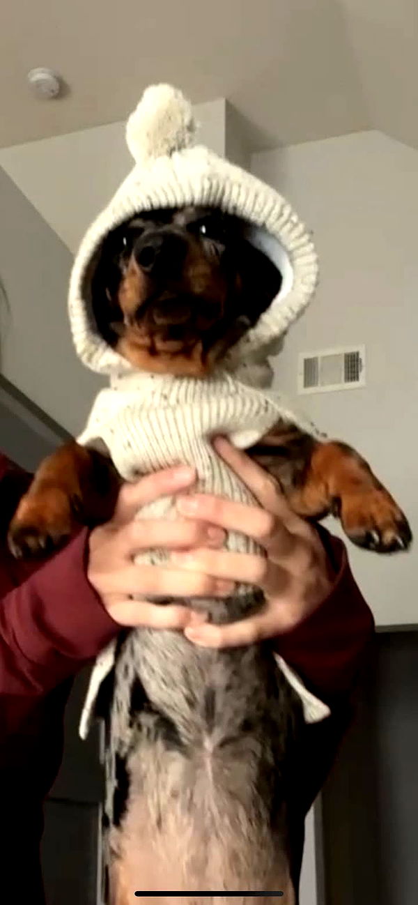 mckinley_1 image ~ Altpins