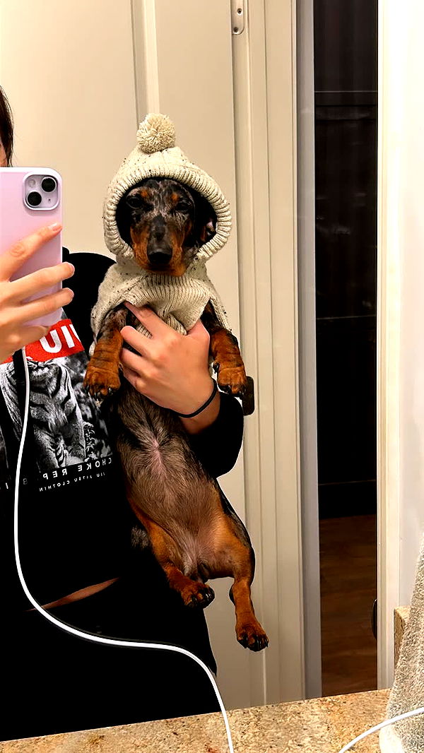 mckinley_1 image ~ Altpins