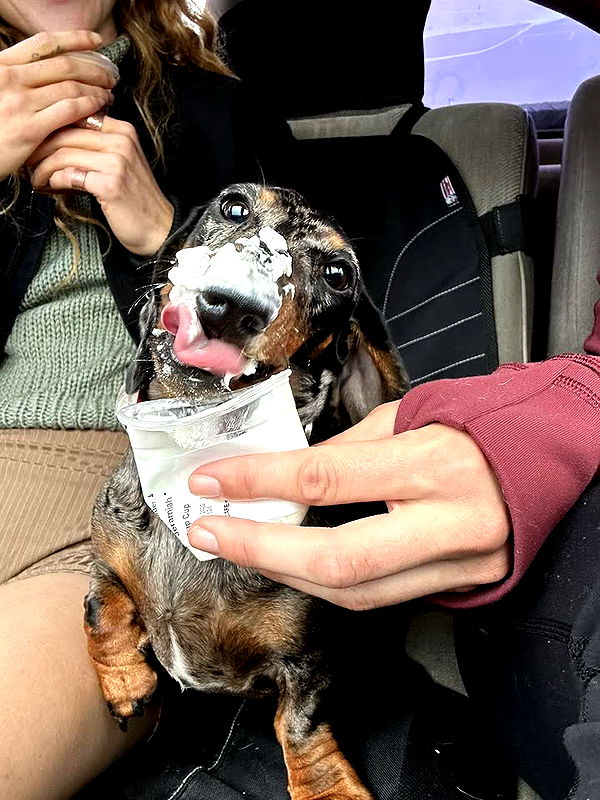 mckinley_1 image ~ Altpins