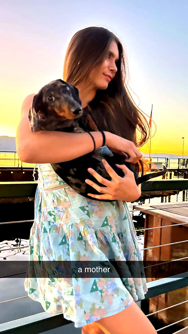 mckinley_1 image ~ Altpins