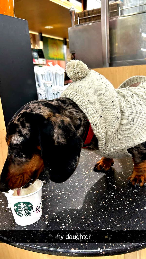 mckinley_1 image ~ Altpins