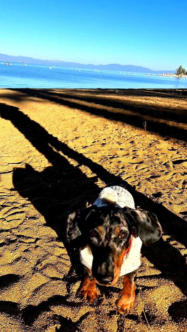 mckinley_1 image ~ Altpins