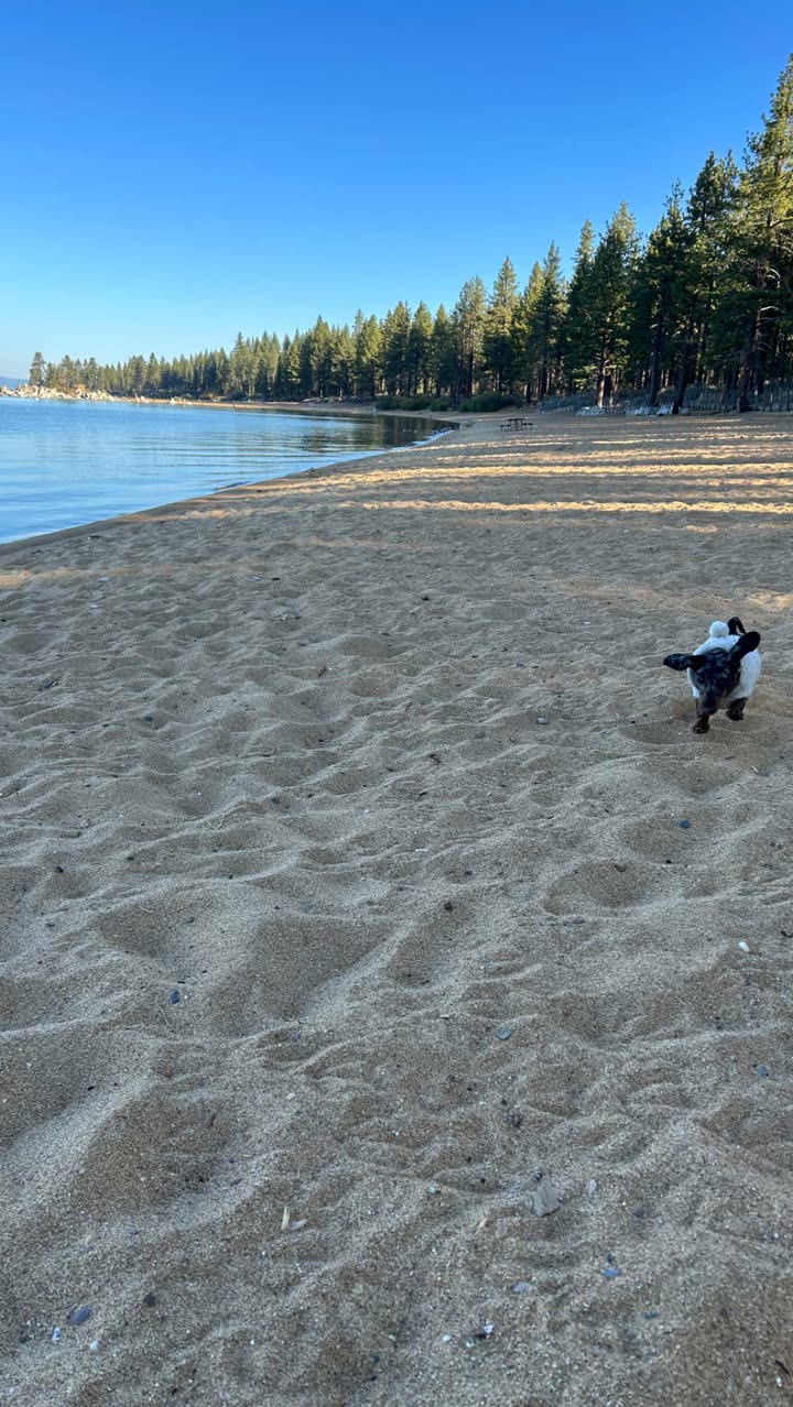 mckinley_1 snapchat image archive image