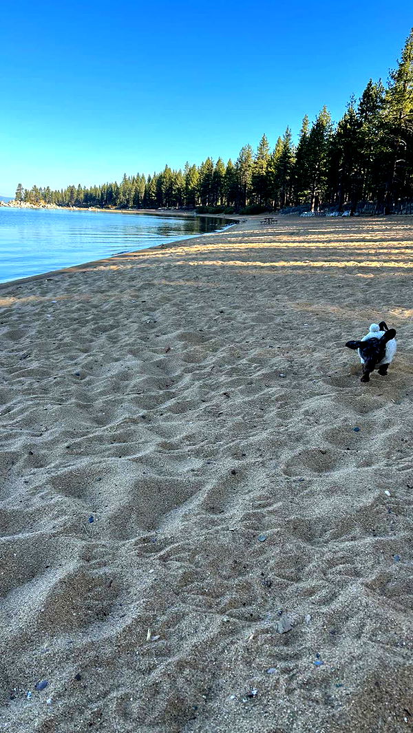 mckinley_1 image ~ Altpins