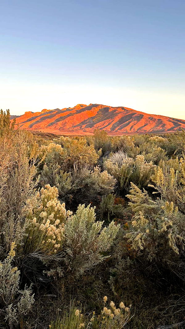 mckinley_1 image ~ Altpins