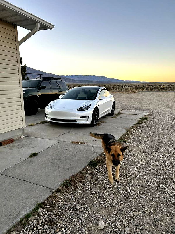 mckinley_1 image ~ Altpins