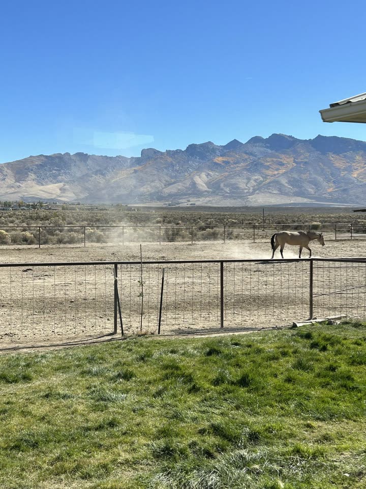 mckinley_1 snapchat image archive image