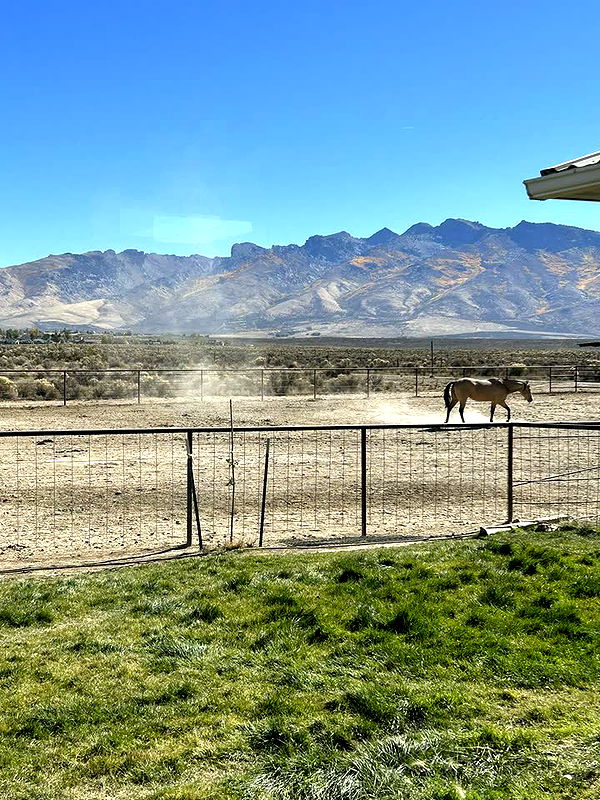 mckinley_1 image ~ Altpins