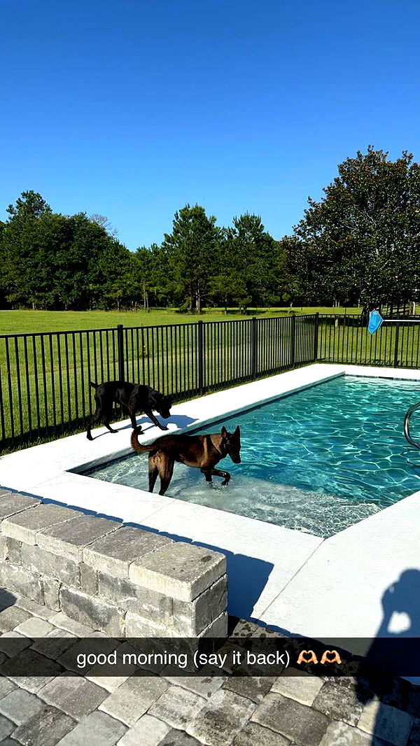 mckinley_1 image ~ Altpins