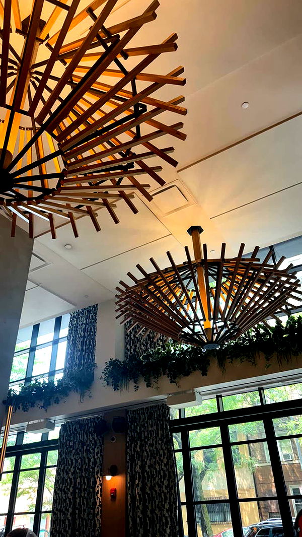 mckinley_1 image ~ Altpins