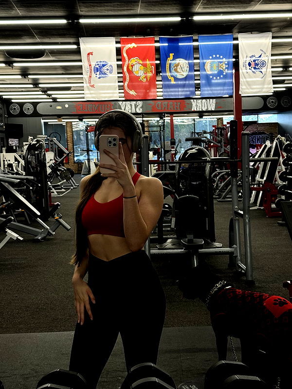 mckinley_1 image ~ Altpins