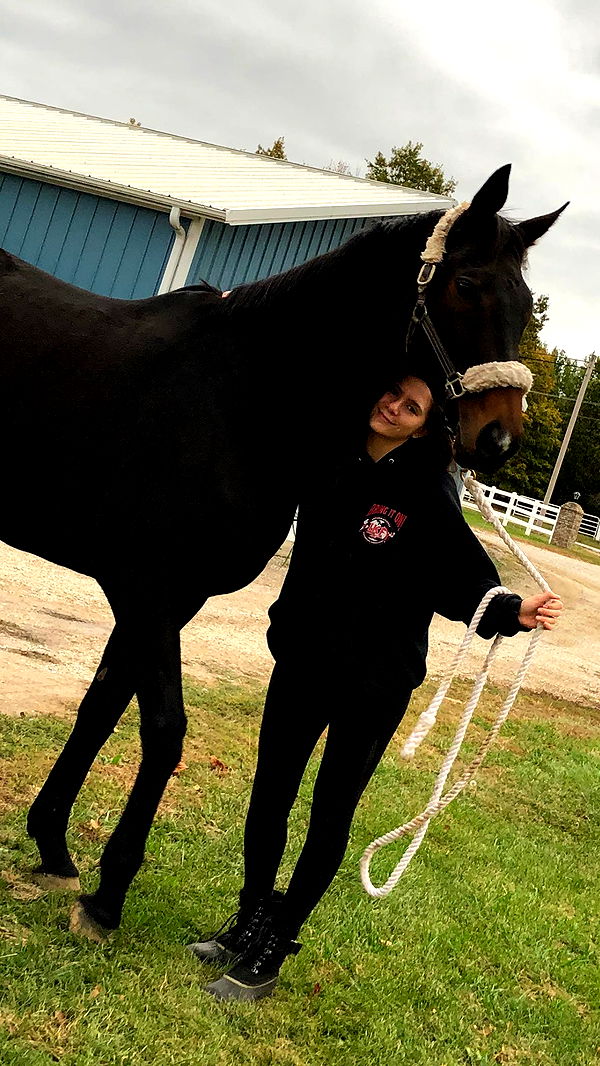 mckinley_1 image ~ Altpins