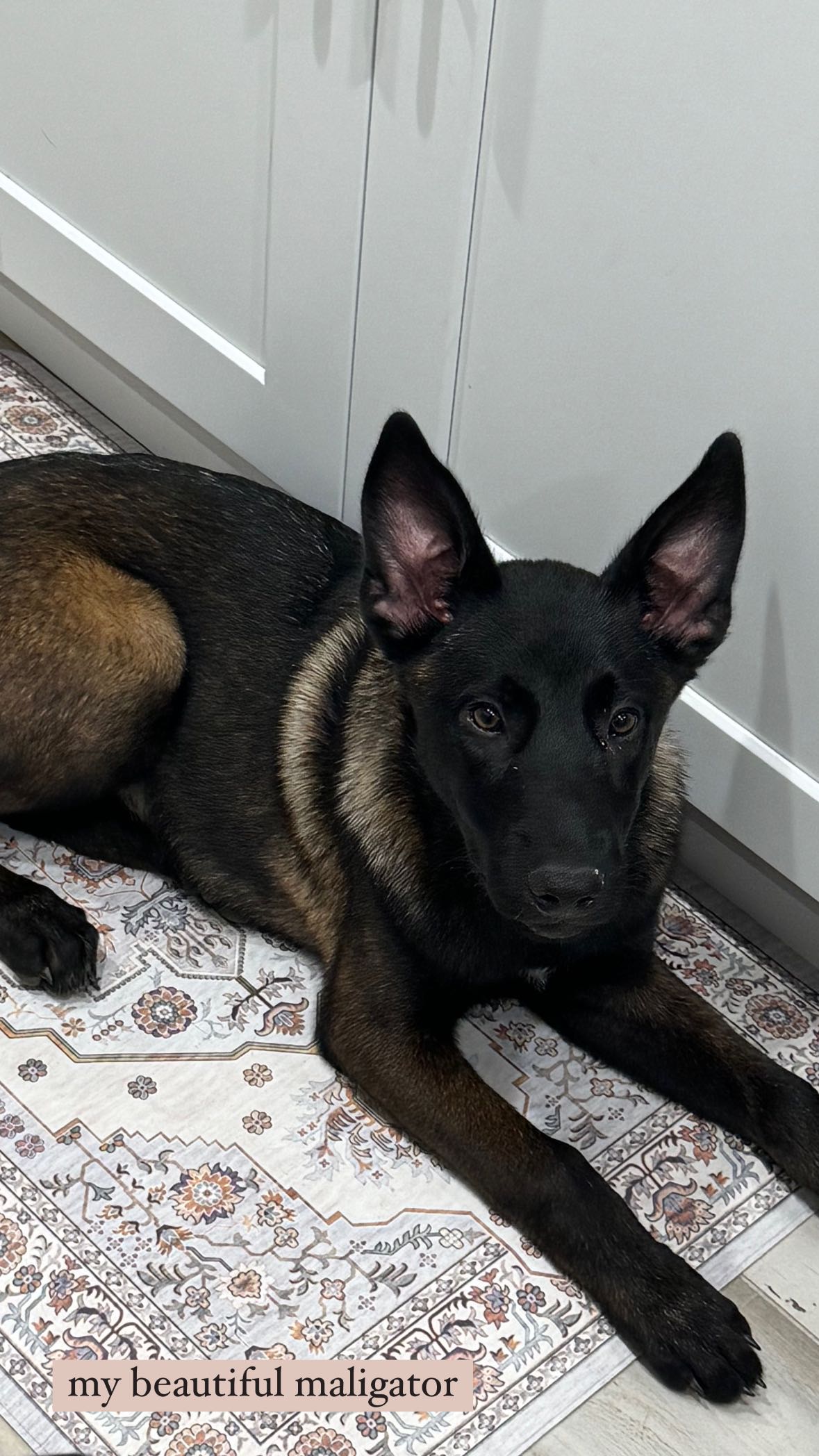 mckinley_1 snapchat image archive image