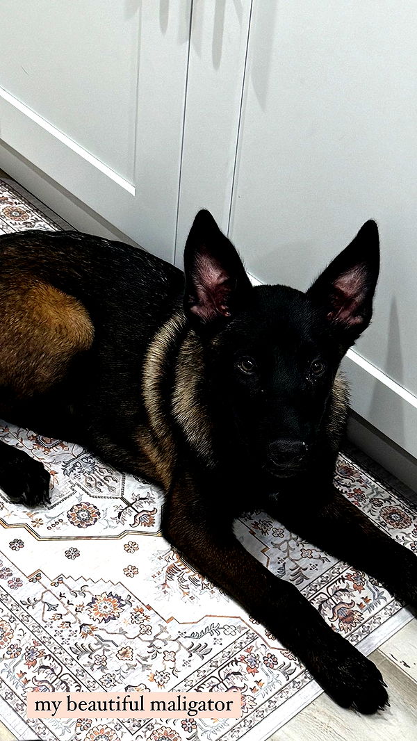 mckinley_1 image ~ Altpins