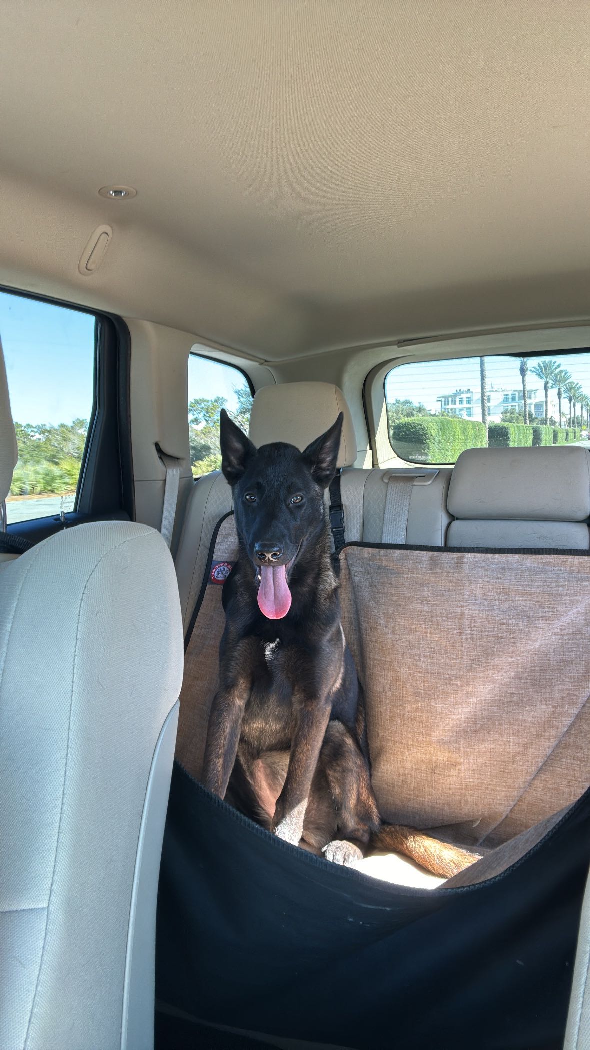 mckinley_1 snapchat image archive image