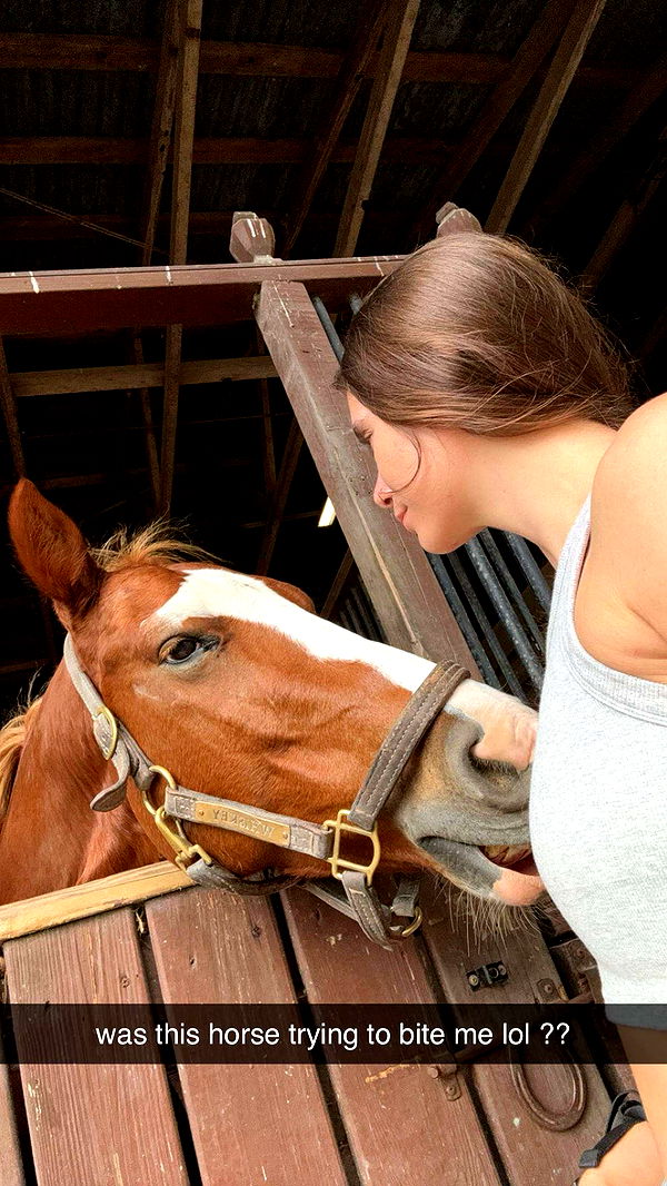 mckinley_1 image ~ Altpins