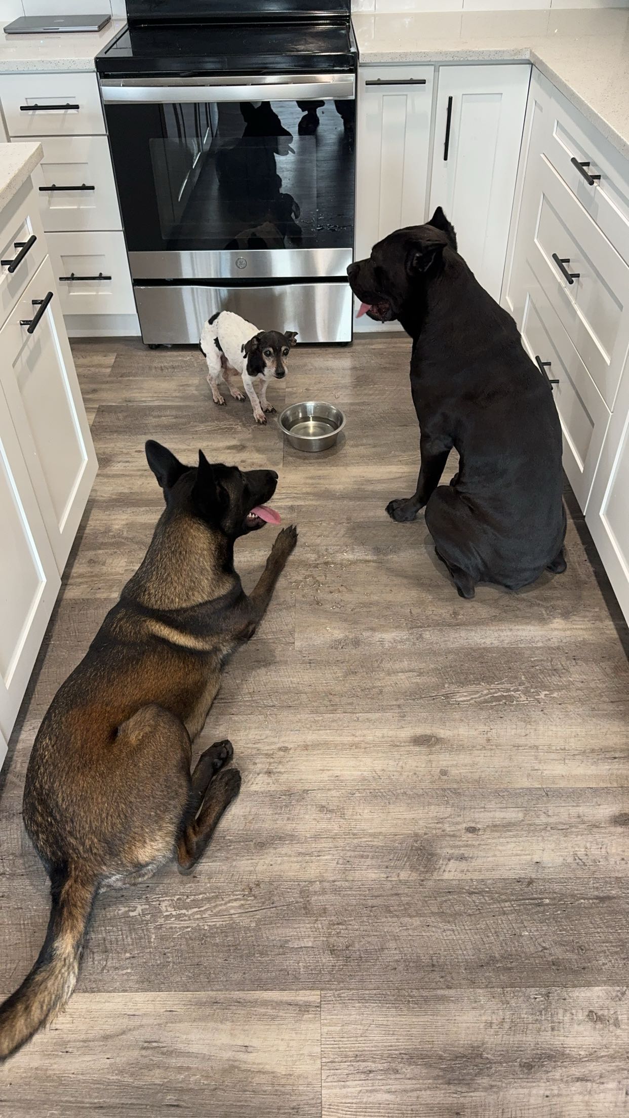 mckinley_1 snapchat image archive image