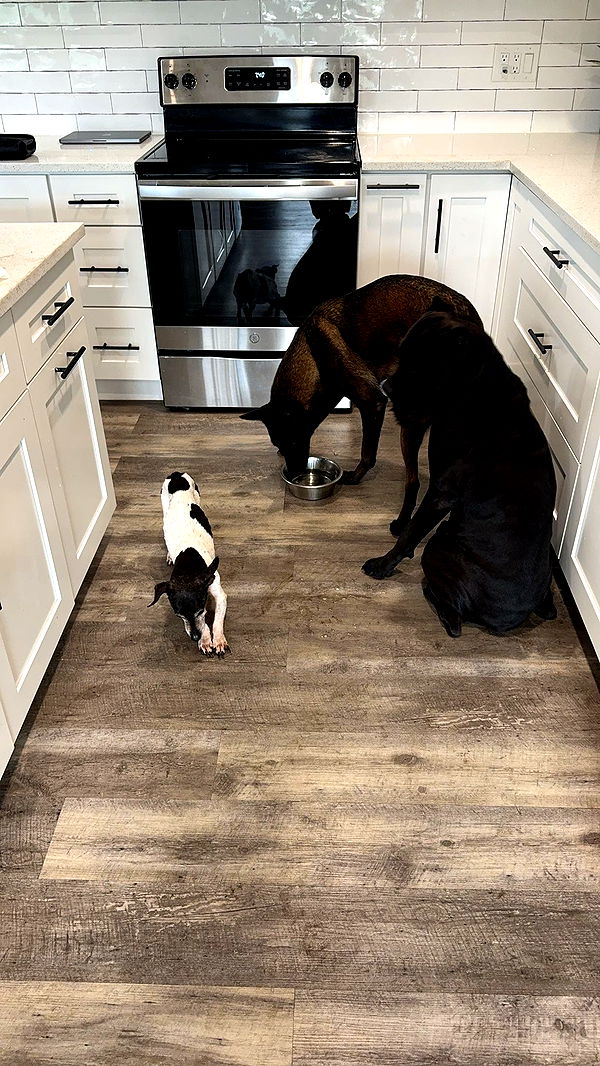 mckinley_1 image ~ Altpins