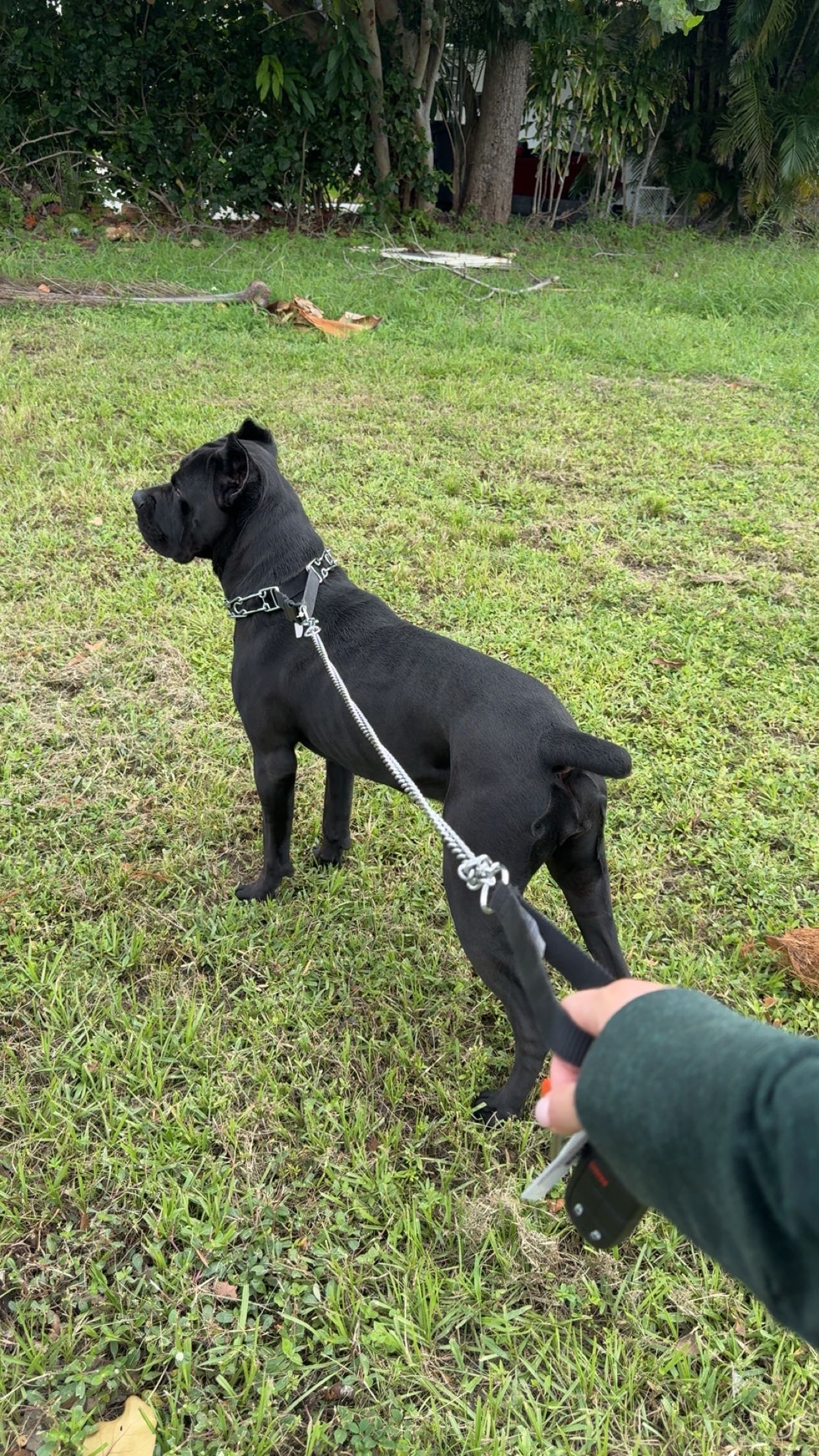 mckinley_1 snapchat image archive image