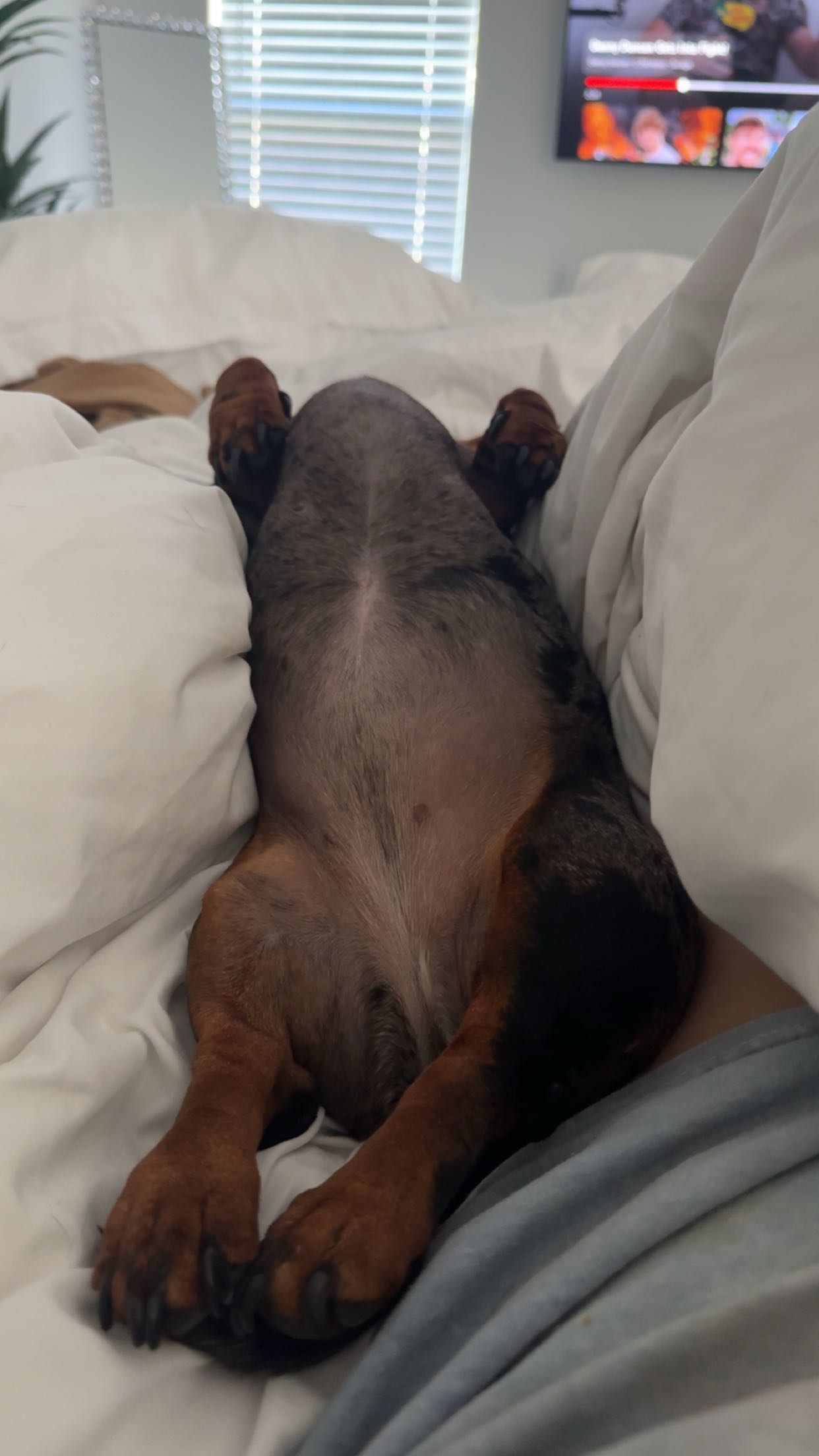 mckinley_1 snapchat image archive image