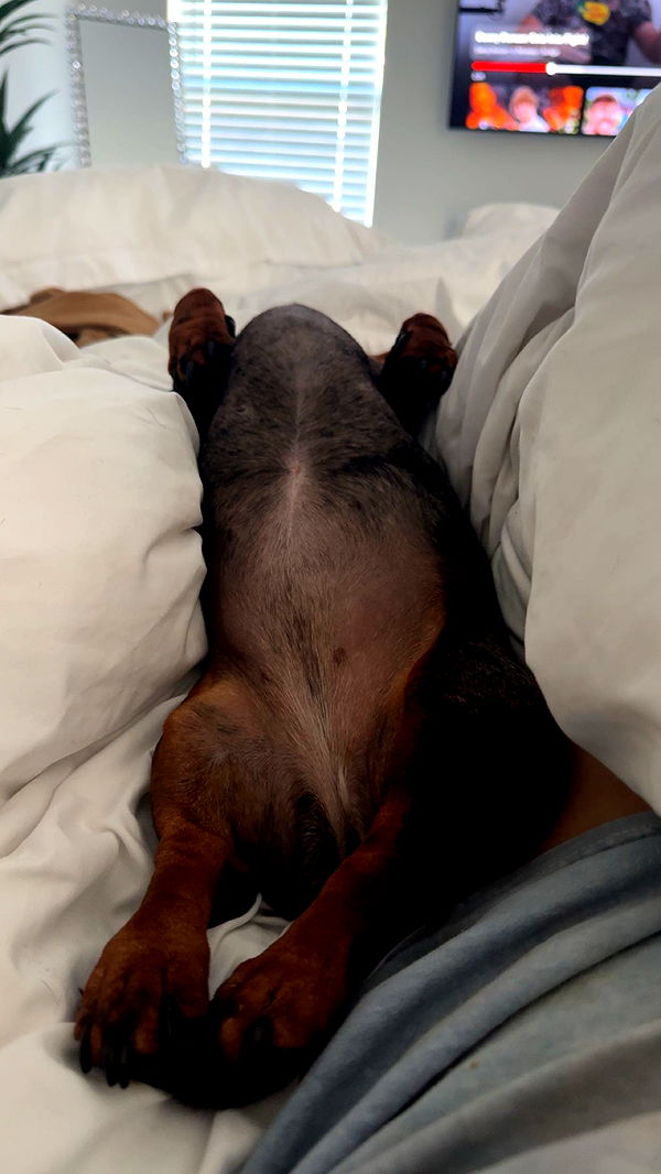 mckinley_1 image ~ Altpins