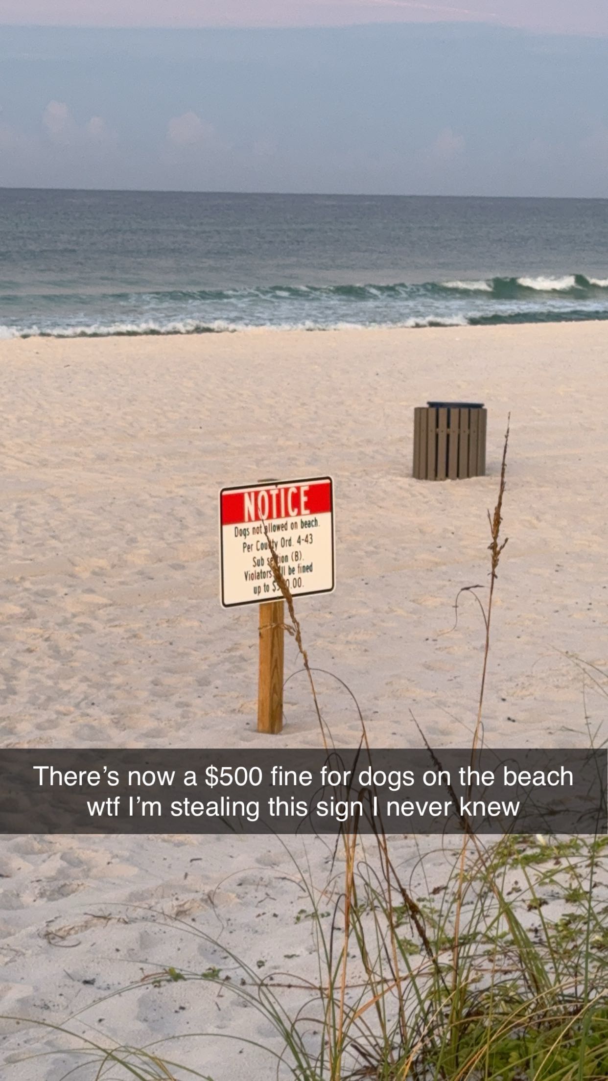 mckinley_1 snapchat image archive image