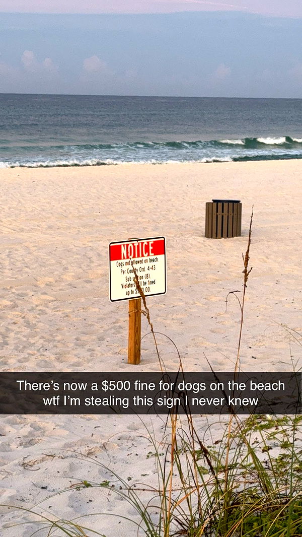 mckinley_1 image ~ Altpins