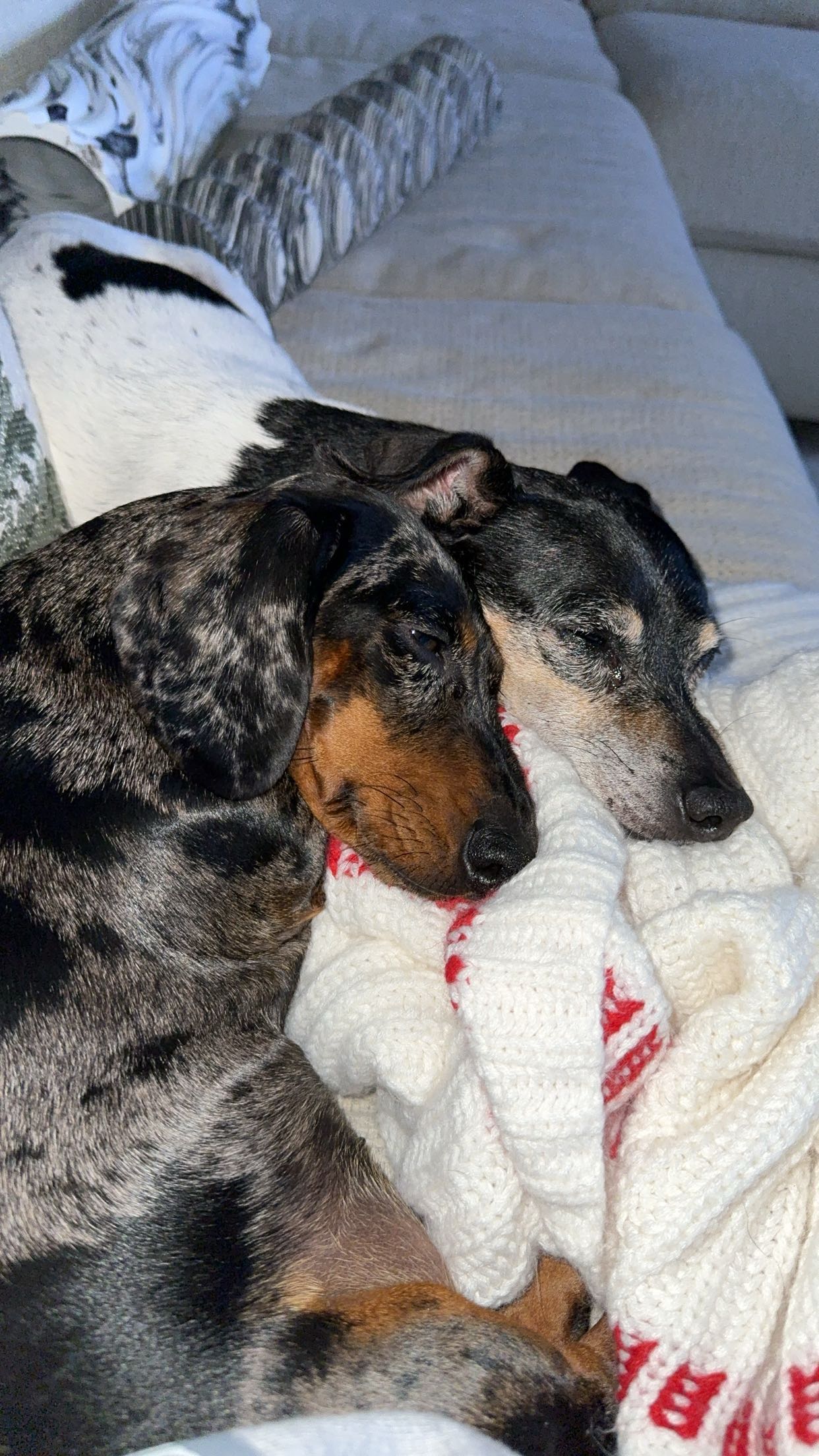 mckinley_1 snapchat image archive image