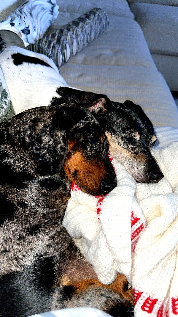 mckinley_1 image ~ Altpins